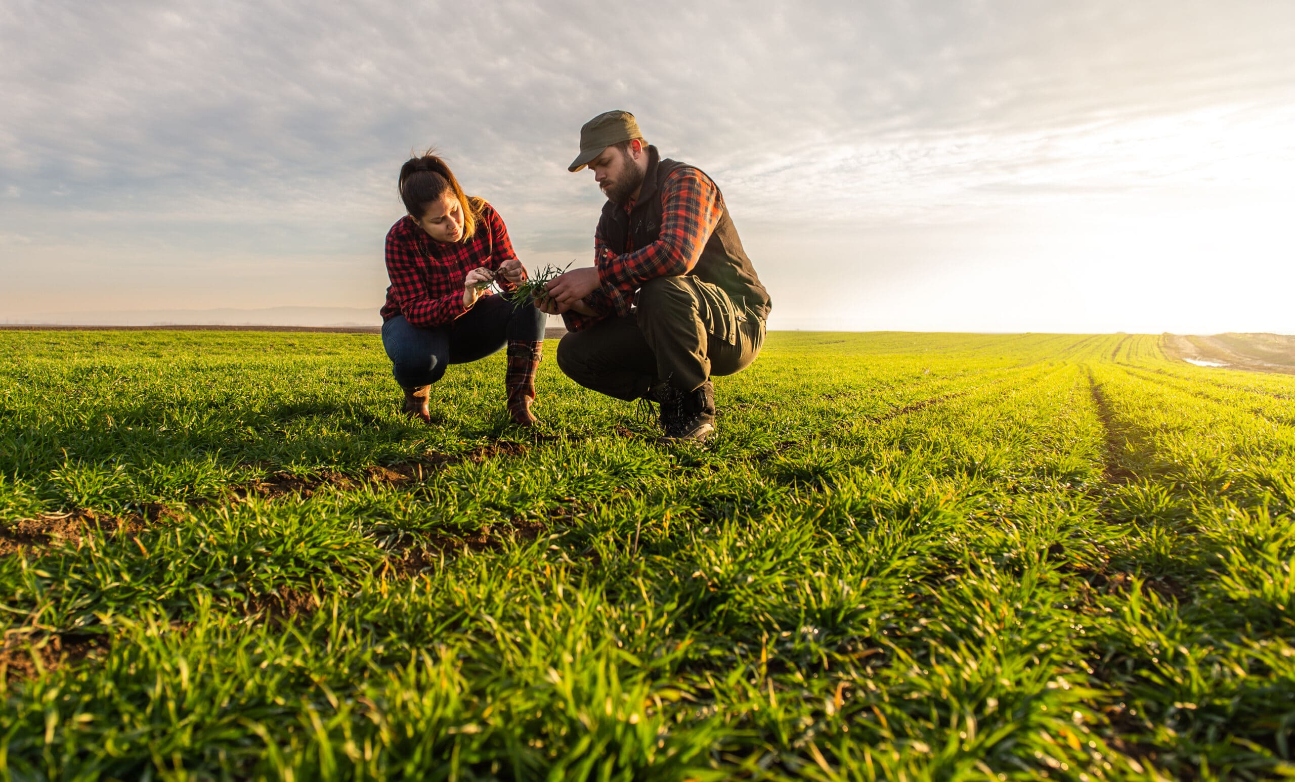 agriculteur éleveur soutenu par Initiative Essonne